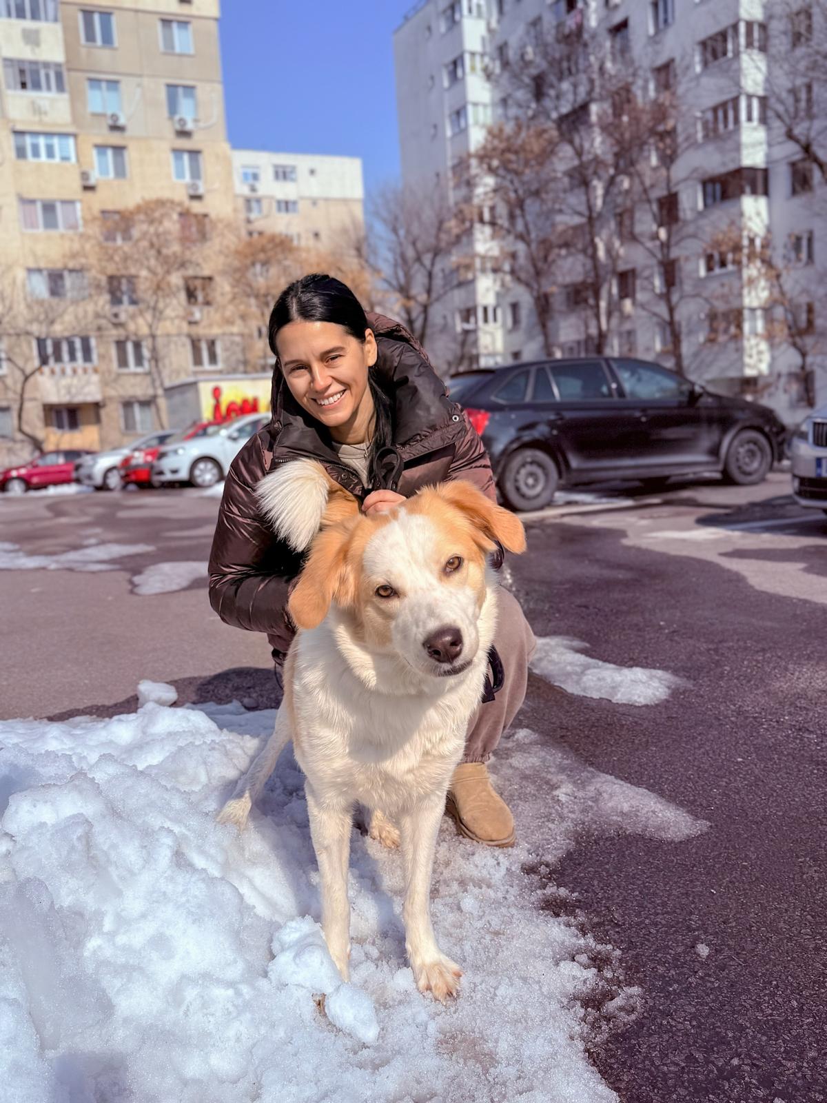 Petsitterselect.ro – Cum a luat naștere portalul petsitterilor?